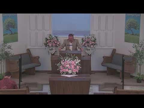 Featured image for “Green Forest Church of Christ – Live Stream”